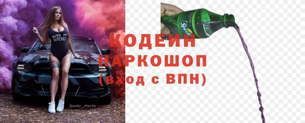 прущие грибы Кинешма