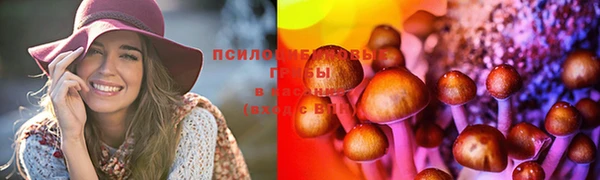 бошки Киреевск