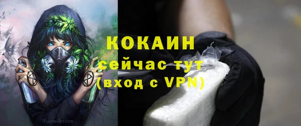 прущие грибы Кинешма