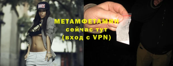 прущие грибы Кинешма