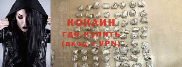прущие грибы Кинешма