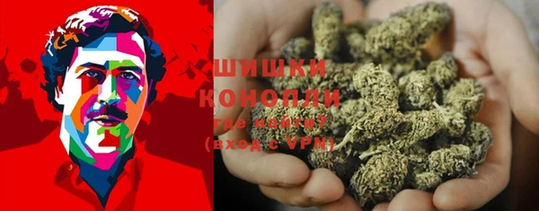 прущие грибы Кинешма